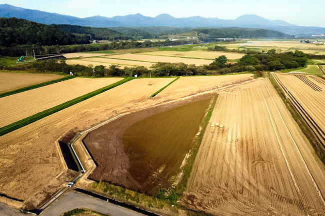 中山間大谷地区61工区、排水路終了の様子